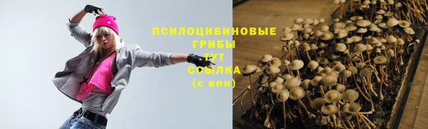 прущий лед Липки