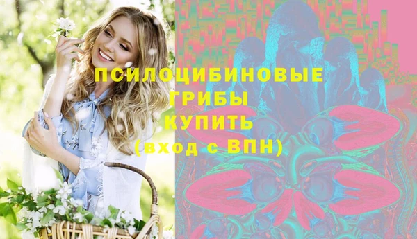 прущий лед Липки