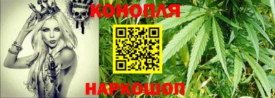 сатива Краснознаменск