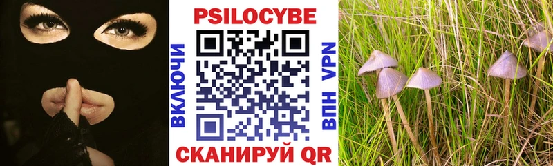 Галлюциногенные грибы Magic Shrooms  Чапаевск 