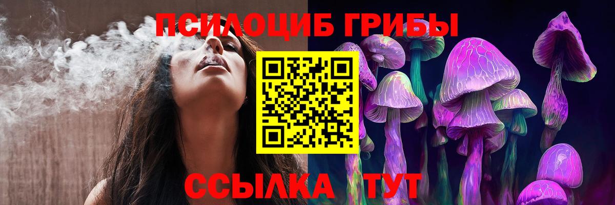 Чапаевск  Псилоцибиновые грибы Psilocybe  Вход с VPN 